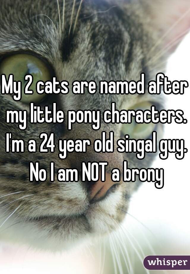 My 2 cats are named after my little pony characters. I'm a 24 year old singal guy. No I am NOT a brony
