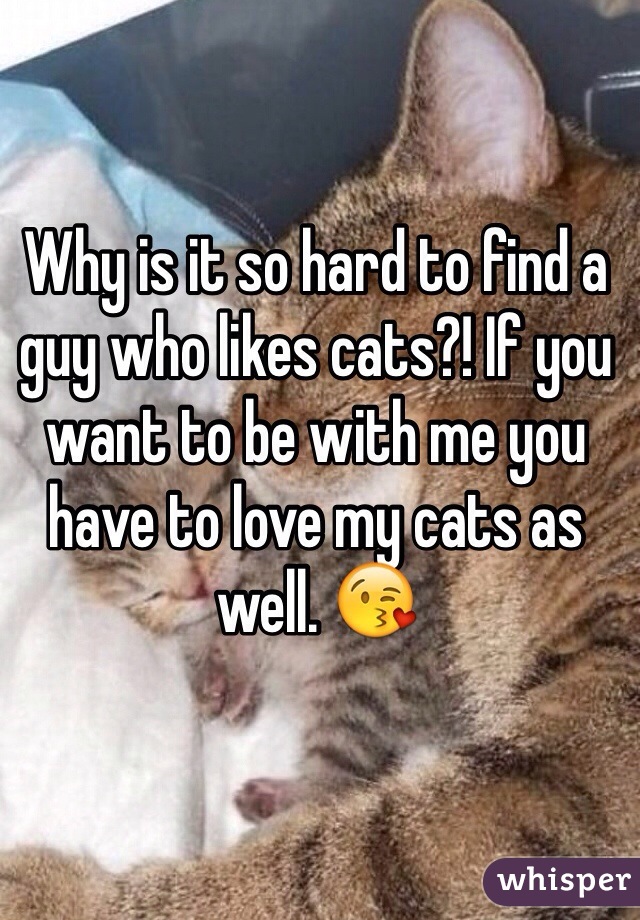 Why is it so hard to find a guy who likes cats?! If you want to be with me you have to love my cats as well. 😘