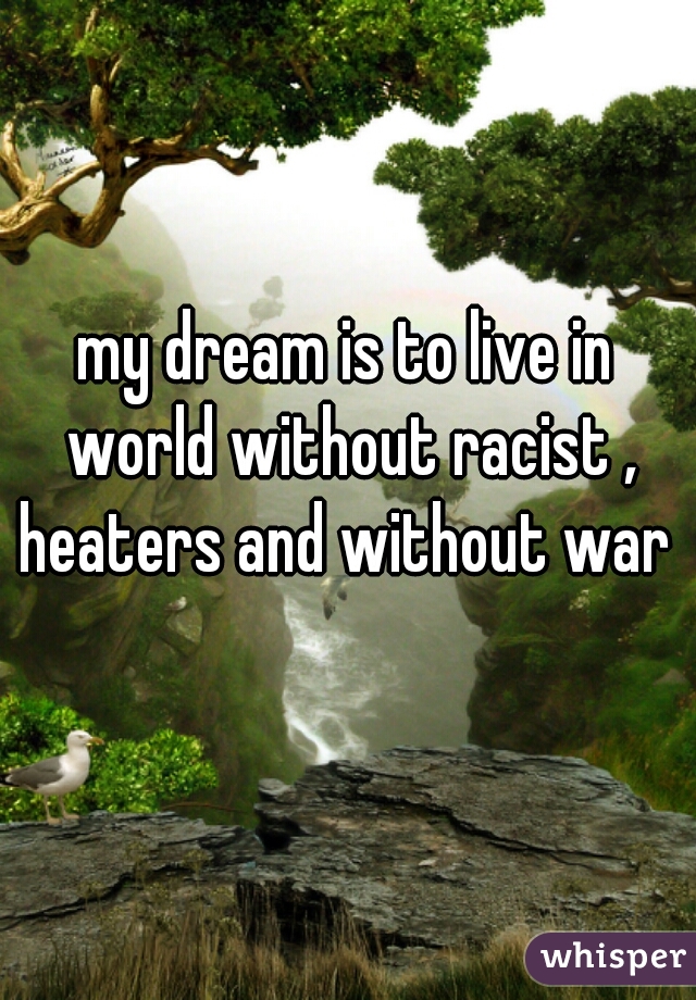 my dream is to live in world without racist , heaters and without war 