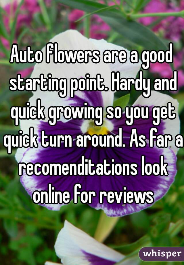 Auto flowers are a good starting point. Hardy and quick growing so you get quick turn around. As far a recomenditations look online for reviews