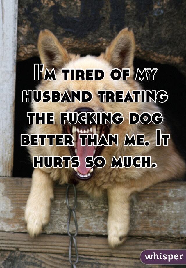 I'm tired of my husband treating the fucking dog better than me. It hurts so much. 