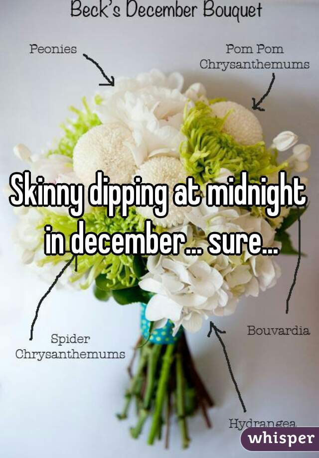 Skinny dipping at midnight in december... sure...