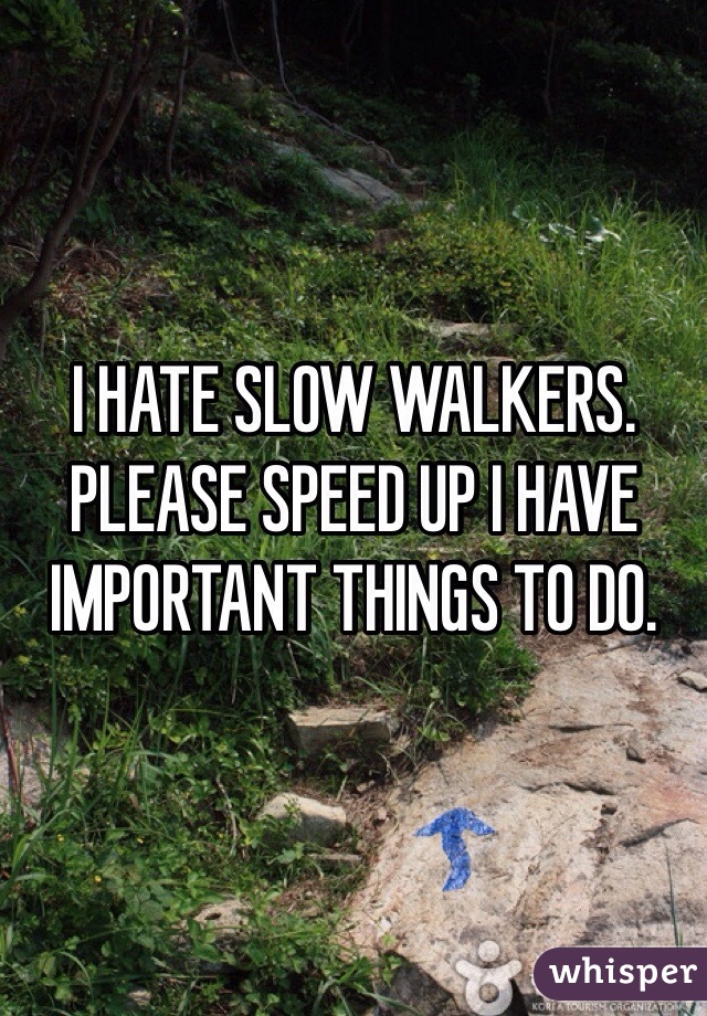 I HATE SLOW WALKERS. PLEASE SPEED UP I HAVE IMPORTANT THINGS TO DO.