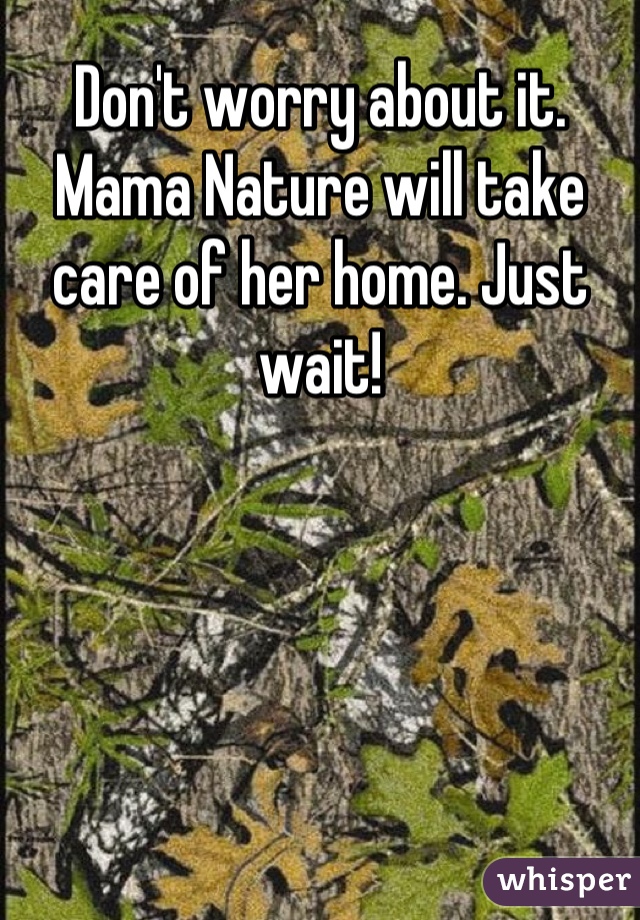 Don't worry about it.
Mama Nature will take care of her home. Just wait!