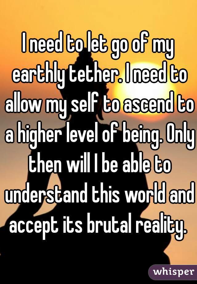 I need to let go of my earthly tether. I need to allow my self to ascend to a higher level of being. Only then will I be able to understand this world and accept its brutal reality. 