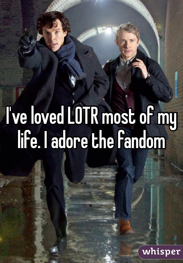 I've loved LOTR most of my life. I adore the fandom 