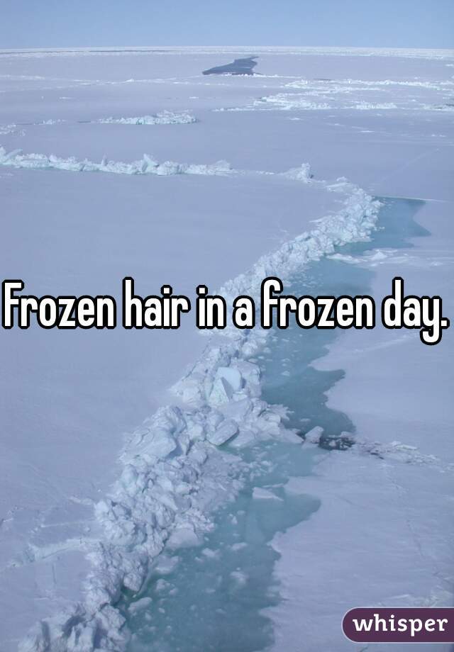 Frozen hair in a frozen day.