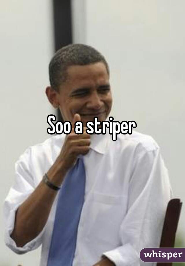 Soo a striper
