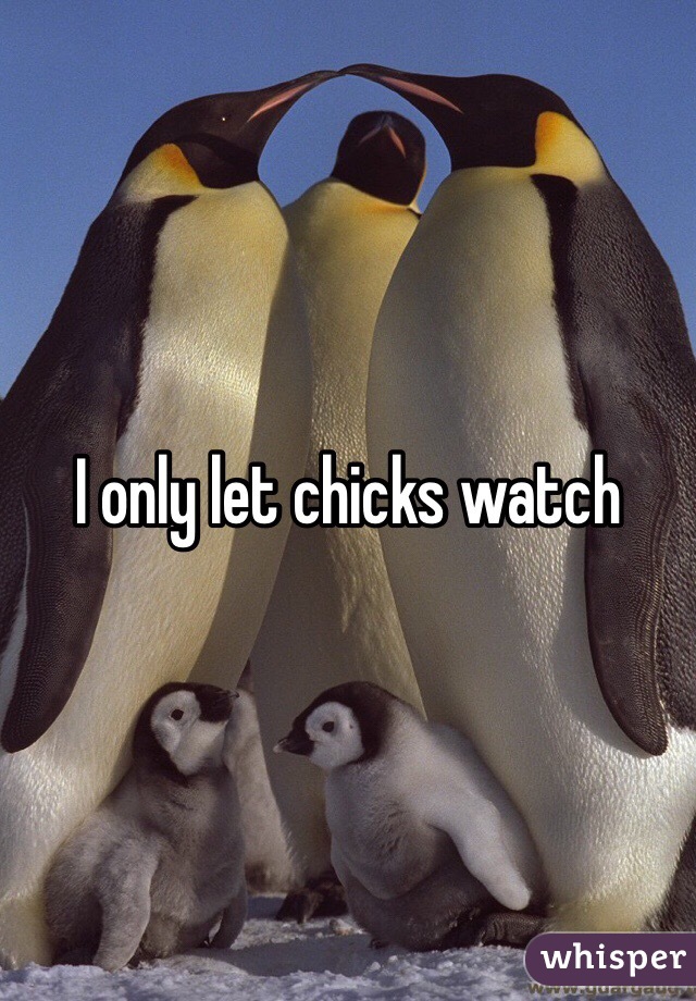 I only let chicks watch