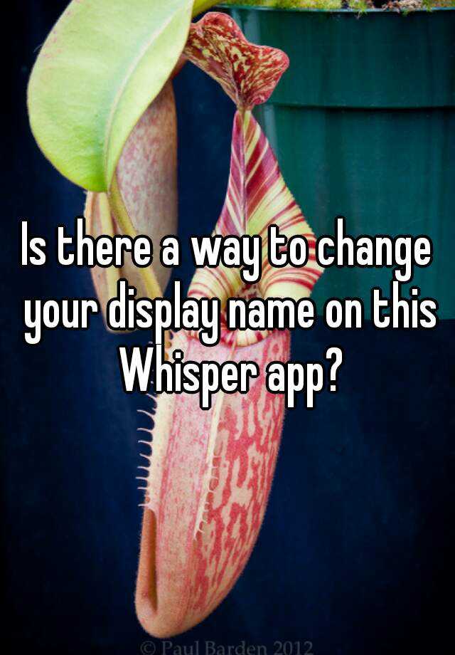 is-there-a-way-to-change-your-display-name-on-this-whisper-app