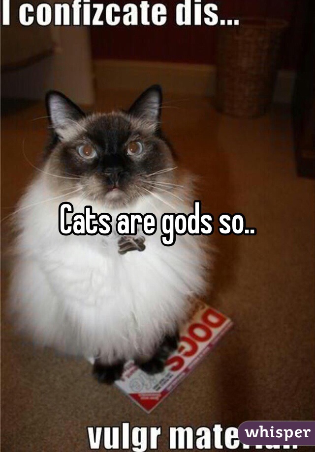 Cats are gods so..