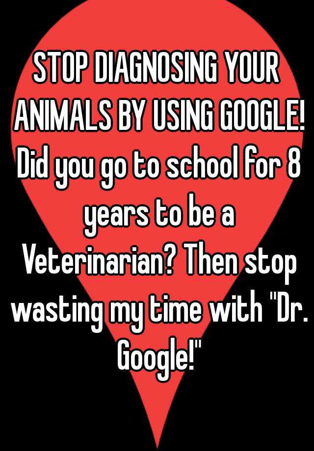 stop-diagnosing-your-animals-by-using-google-did-you-go-to-school-for