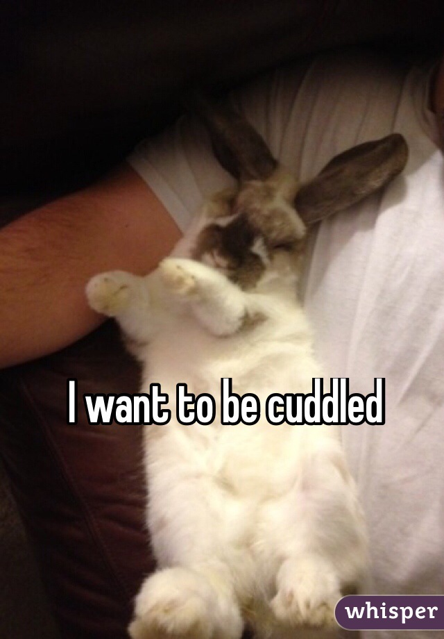 I want to be cuddled 
