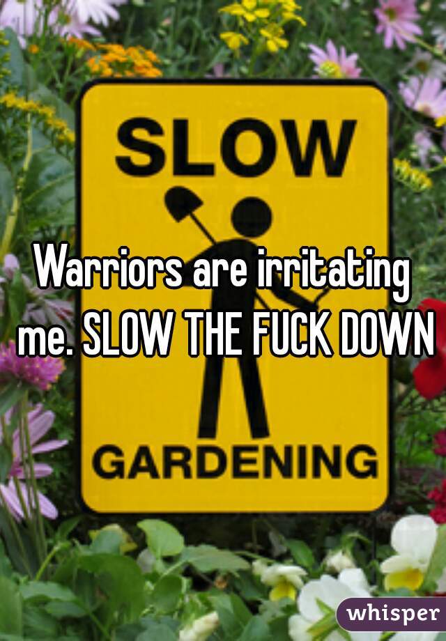 Warriors are irritating me. SLOW THE FUCK DOWN