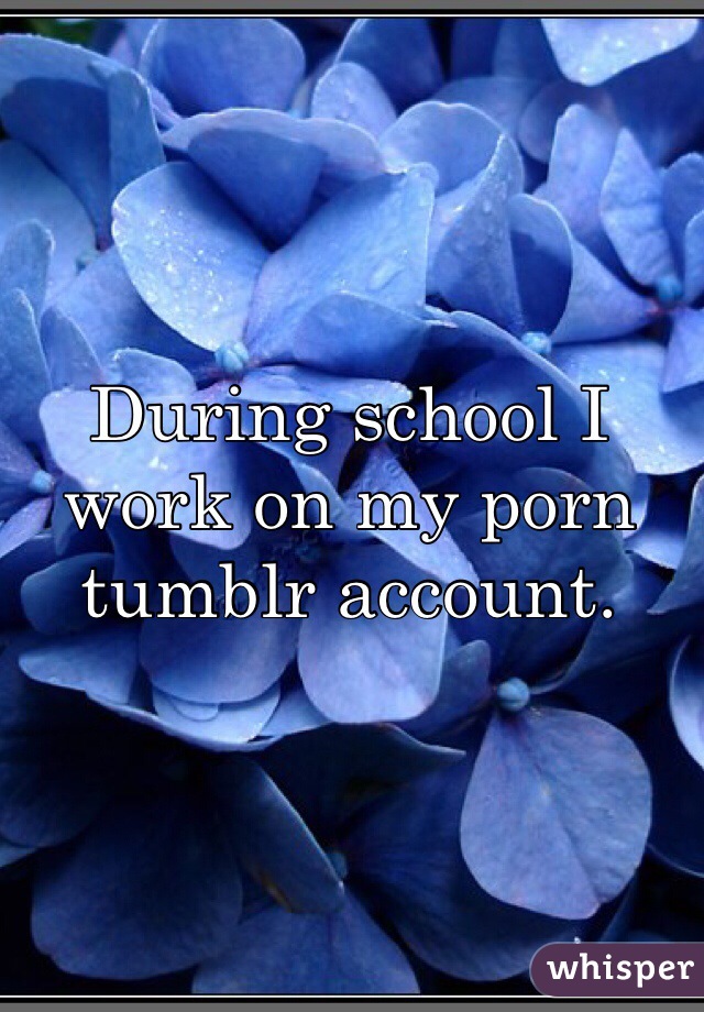 During school I work on my porn tumblr account.