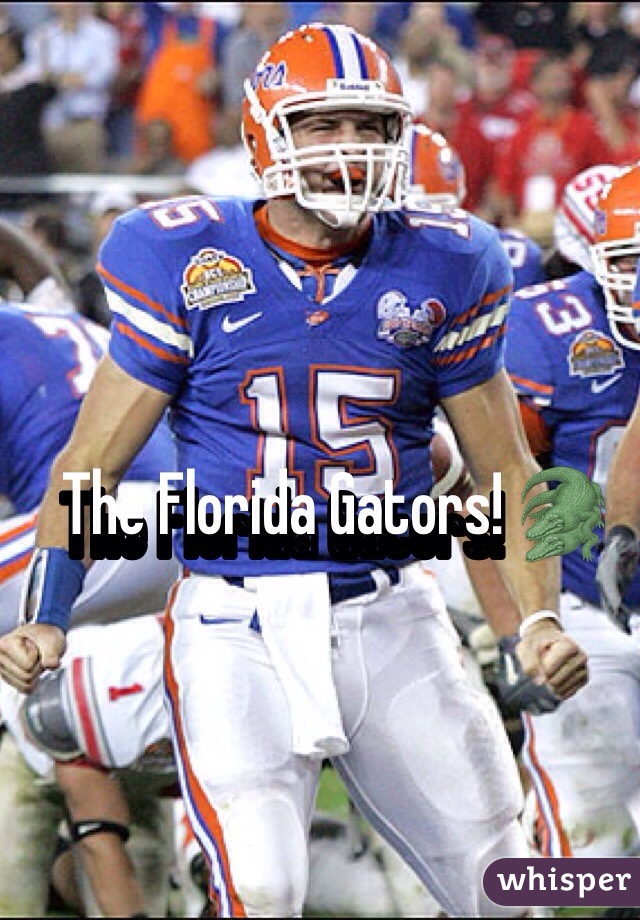 The Florida Gators! 🐊