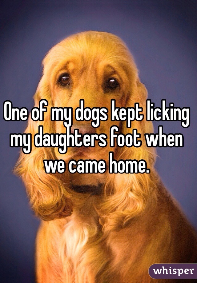One of my dogs kept licking my daughters foot when we came home. 