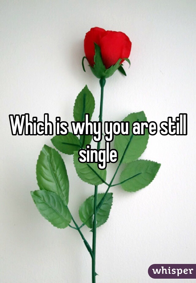Which is why you are still single 