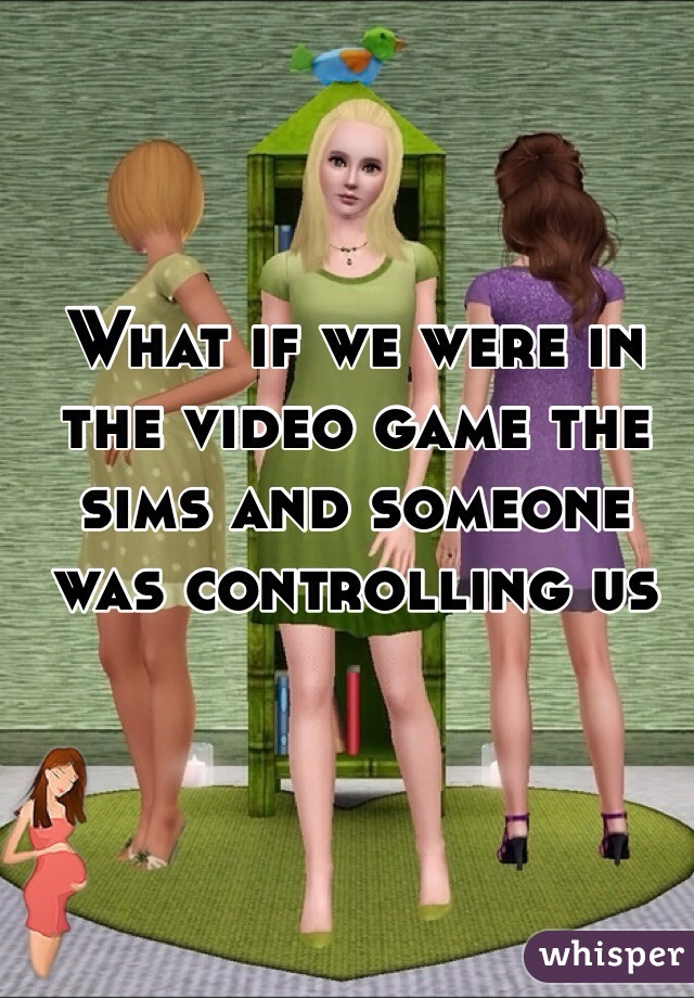 What if we were in the video game the sims and someone was controlling us 