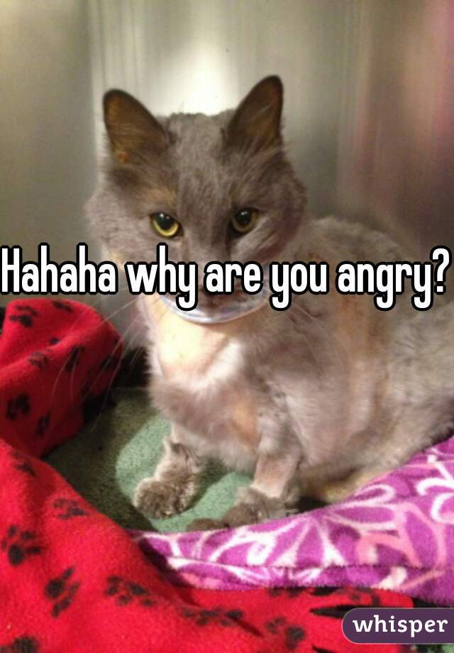 Hahaha why are you angry? 