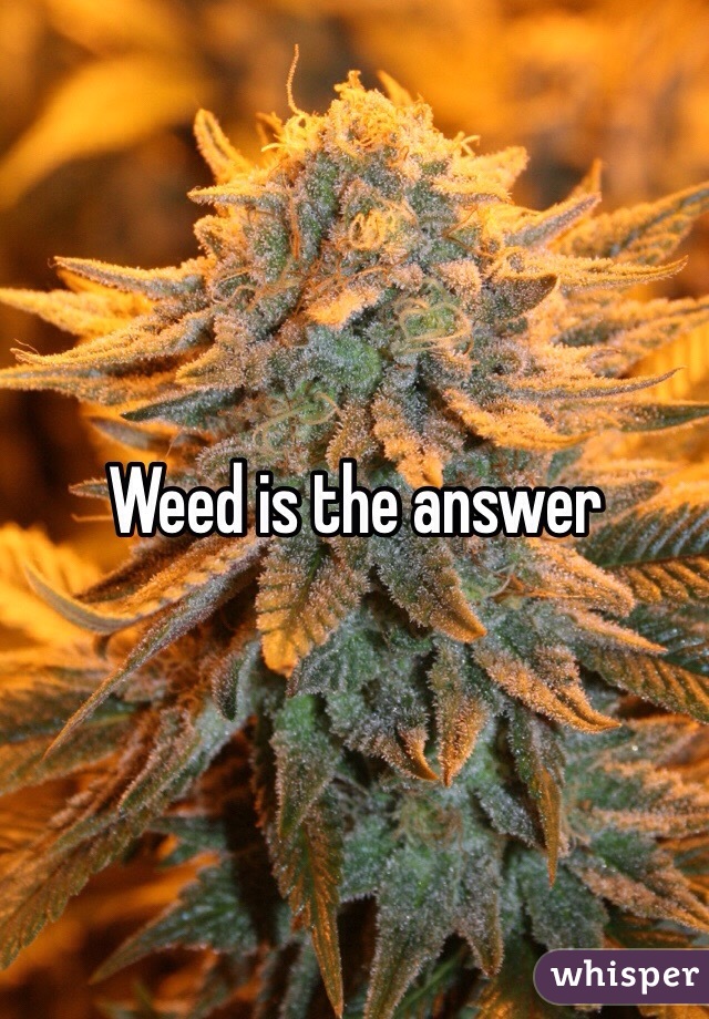 Weed is the answer 