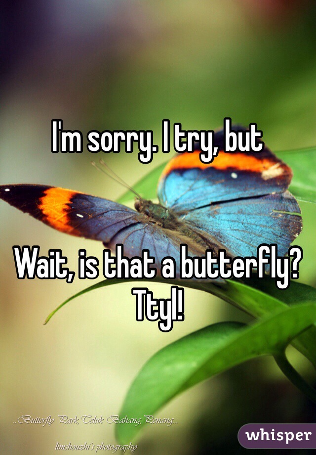 I'm sorry. I try, but 


Wait, is that a butterfly? Ttyl!