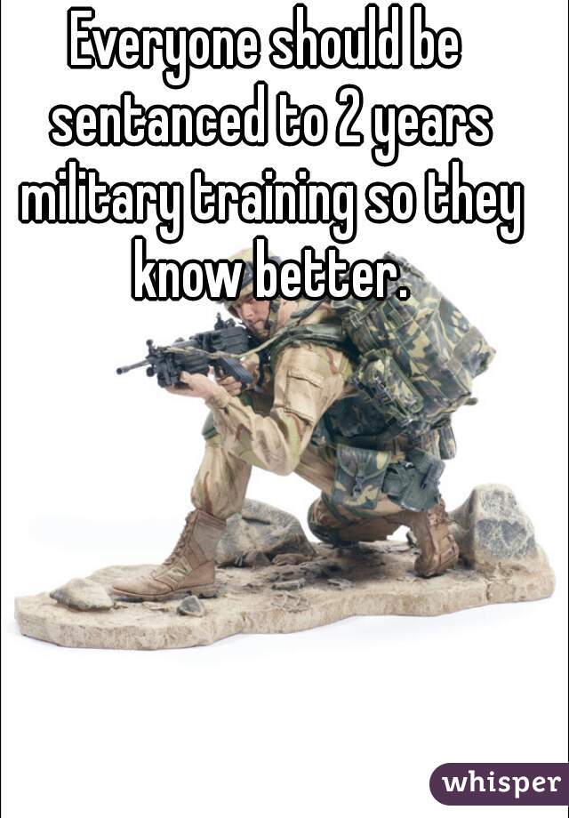 Everyone should be sentanced to 2 years military training so they know better.