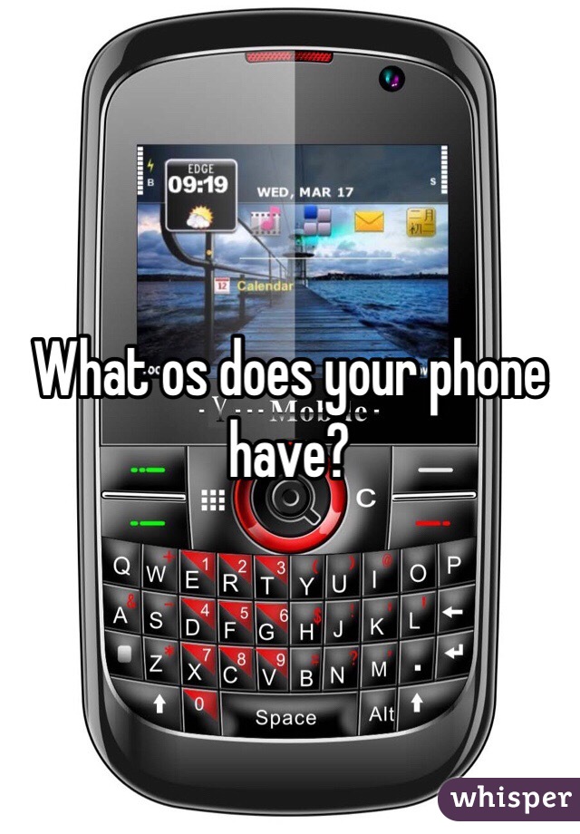 What os does your phone have?