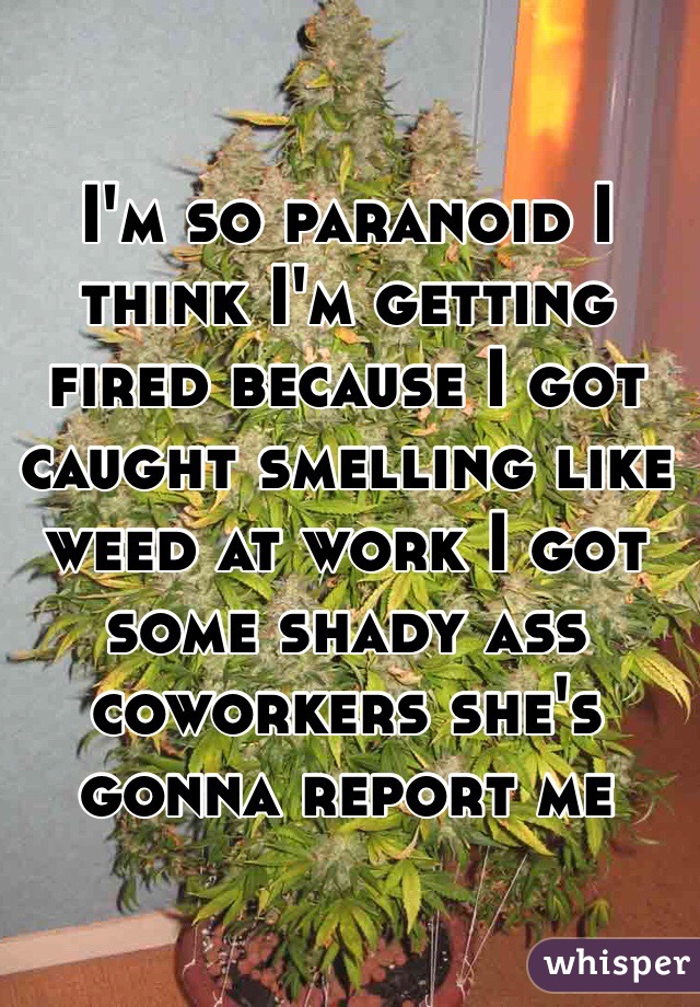 I'm so paranoid I think I'm getting fired because I got caught smelling like weed at work I got some shady ass coworkers she's gonna report me