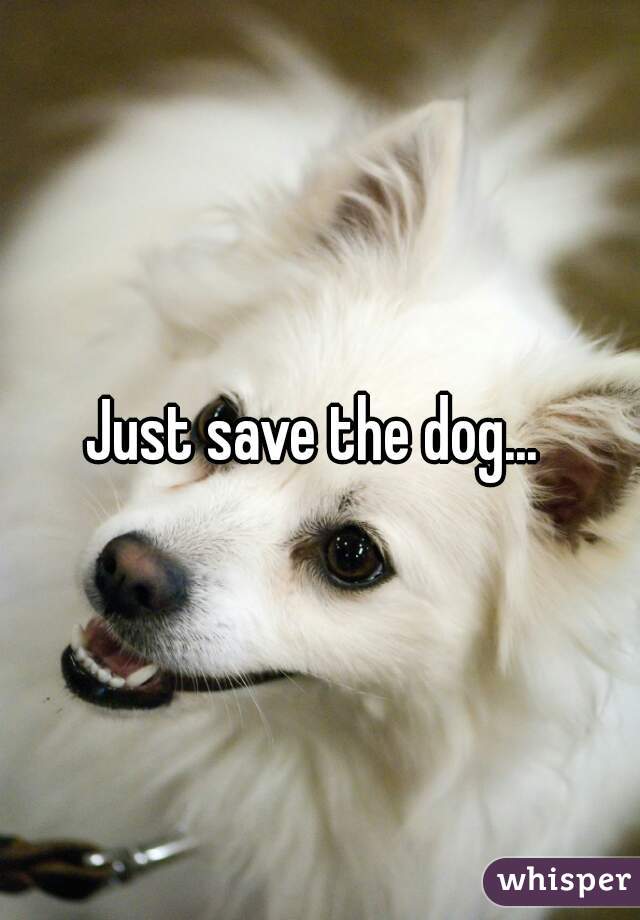 Just save the dog... 