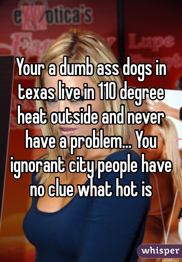 Your a dumb ass dogs in texas live in 110 degree heat outside and never have a problem... You ignorant city people have no clue what hot is