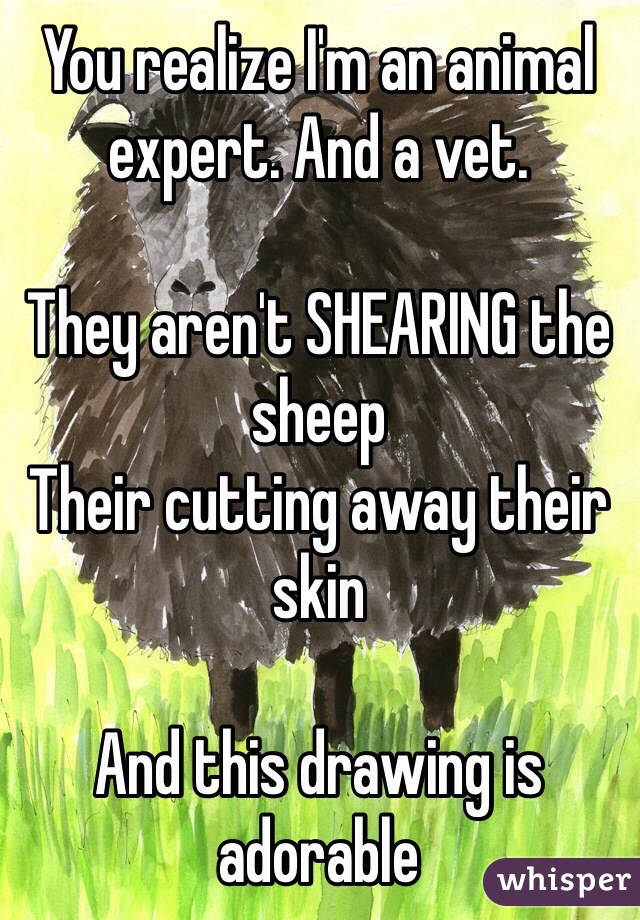 You realize I'm an animal expert. And a vet.

They aren't SHEARING the sheep
Their cutting away their skin

And this drawing is adorable