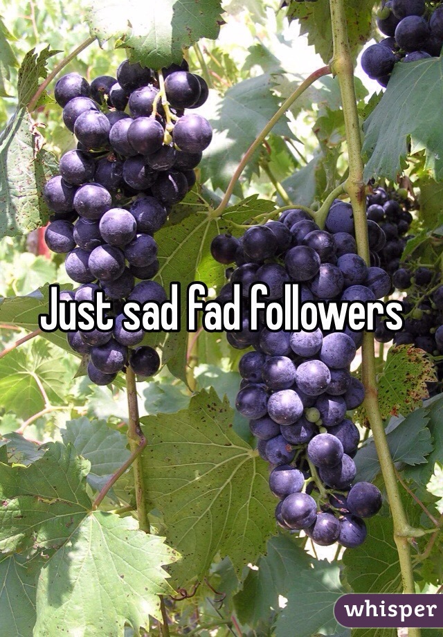 Just sad fad followers 