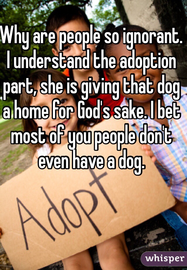 Why are people so ignorant. I understand the adoption part, she is giving that dog a home for God's sake. I bet most of you people don't even have a dog.