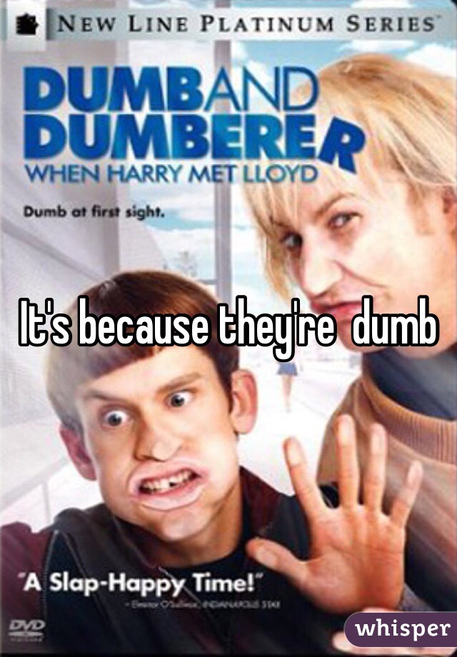 It's because they're  dumb