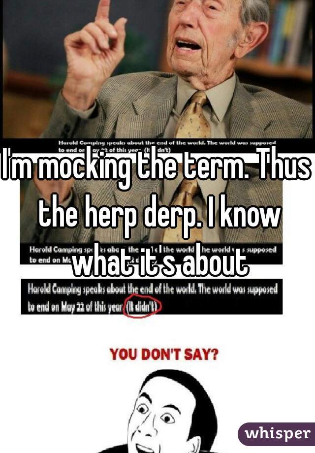 I'm mocking the term. Thus the herp derp. I know what it's about