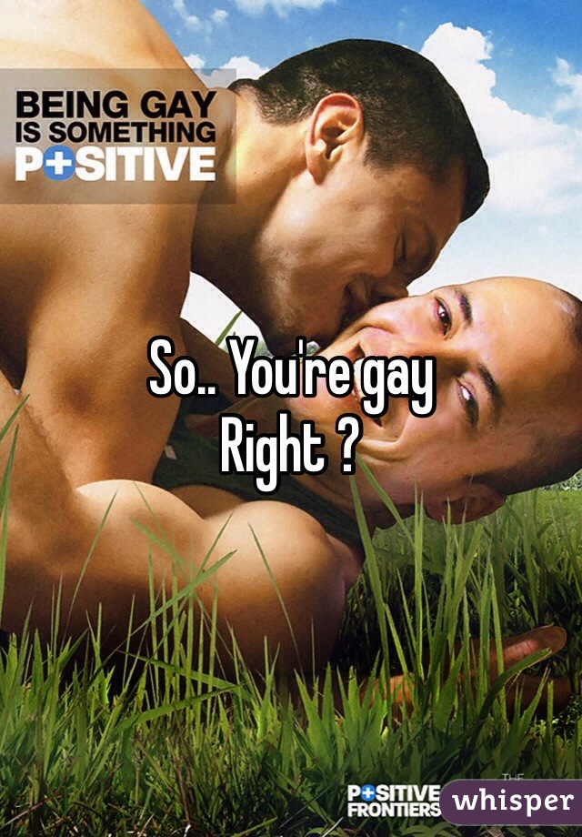 So.. You're gay 
Right ?