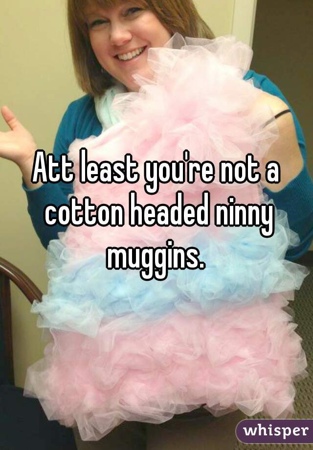 Att least you're not a cotton headed ninny muggins. 