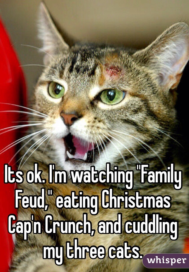 Its ok. I'm watching "Family Feud," eating Christmas Cap'n Crunch, and cuddling my three cats.