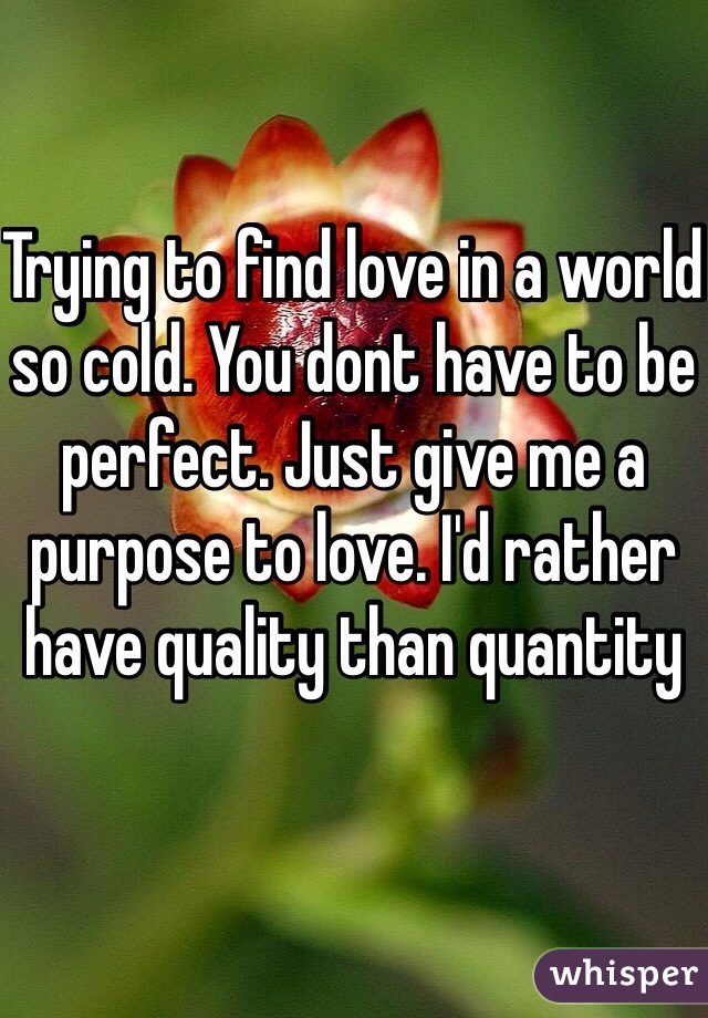 Trying to find love in a world so cold. You dont have to be perfect. Just give me a purpose to love. I'd rather have quality than quantity