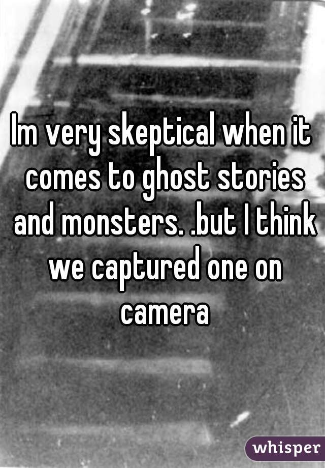 Im very skeptical when it comes to ghost stories and monsters. .but I think we captured one on camera