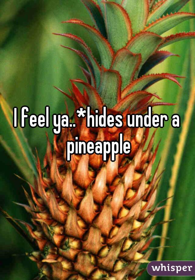 I feel ya..*hides under a pineapple