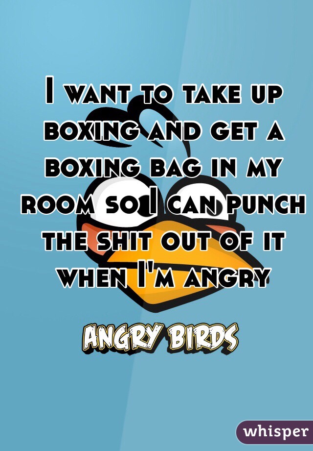 I want to take up boxing and get a boxing bag in my room so I can punch the shit out of it when I'm angry 