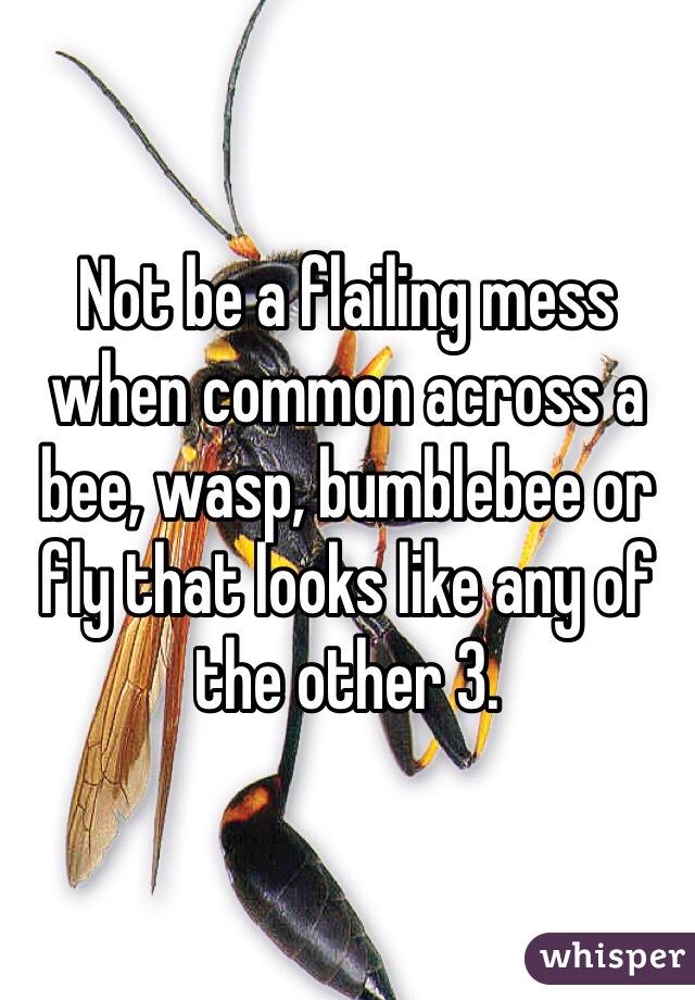 Not be a flailing mess when common across a bee, wasp, bumblebee or fly that looks like any of the other 3. 