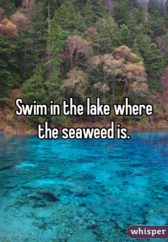 Swim in the lake where the seaweed is. 