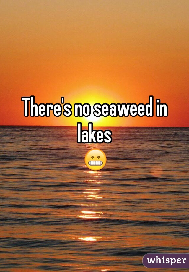 There's no seaweed in lakes 
😬