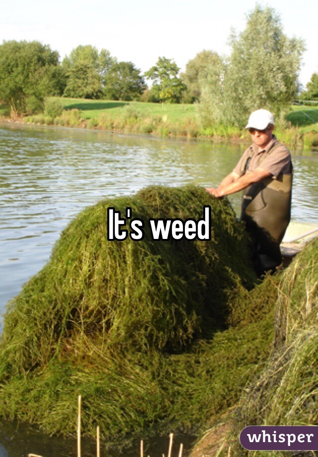 It's weed