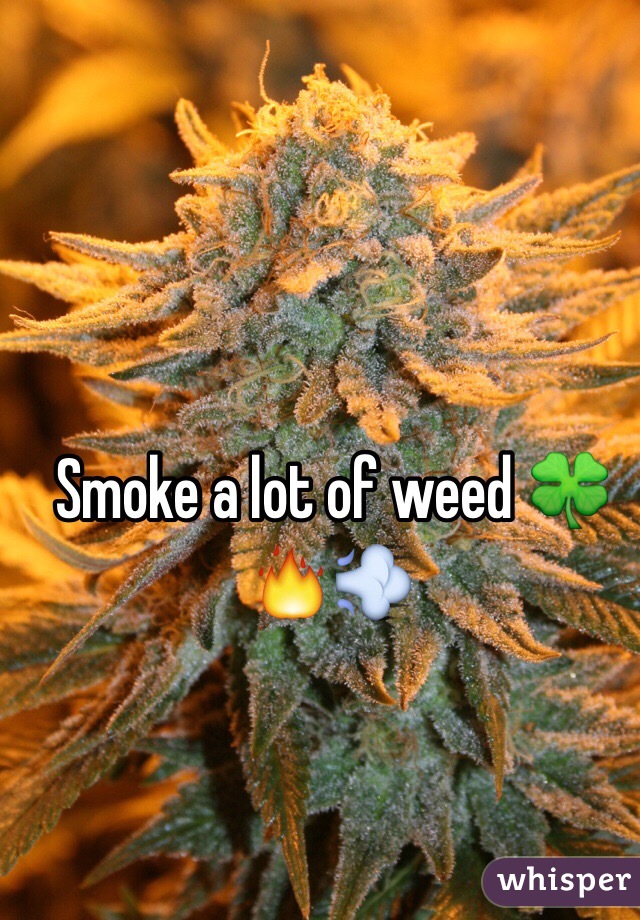 Smoke a lot of weed 🍀🔥💨