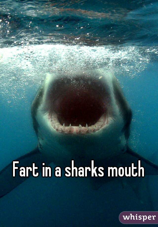 Fart in a sharks mouth