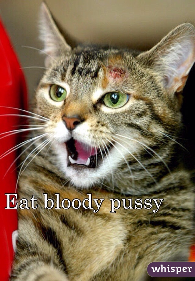 Eat bloody pussy 